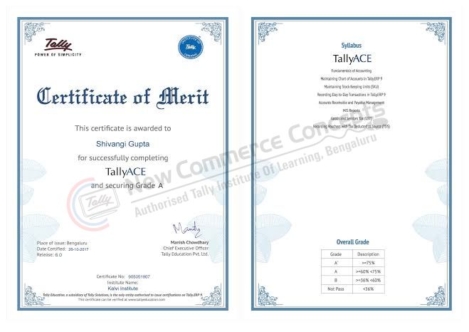 Tally certificate of merit and syllabus